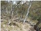 Oberon NSW 2787