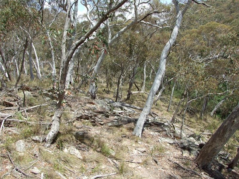 Oberon NSW 2787