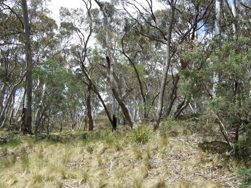 Oberon NSW 2787