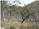 Oberon NSW 2787