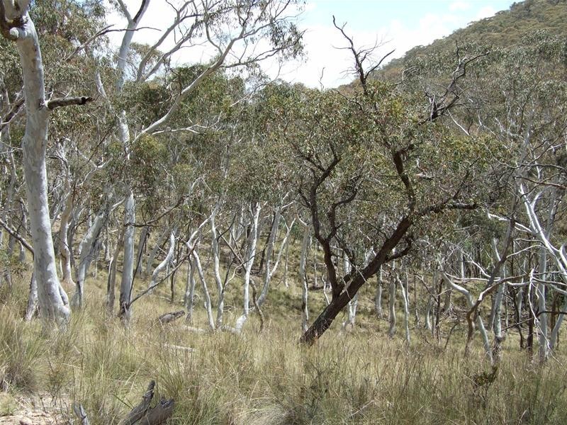 Oberon NSW 2787