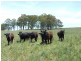 Oberon NSW 2787