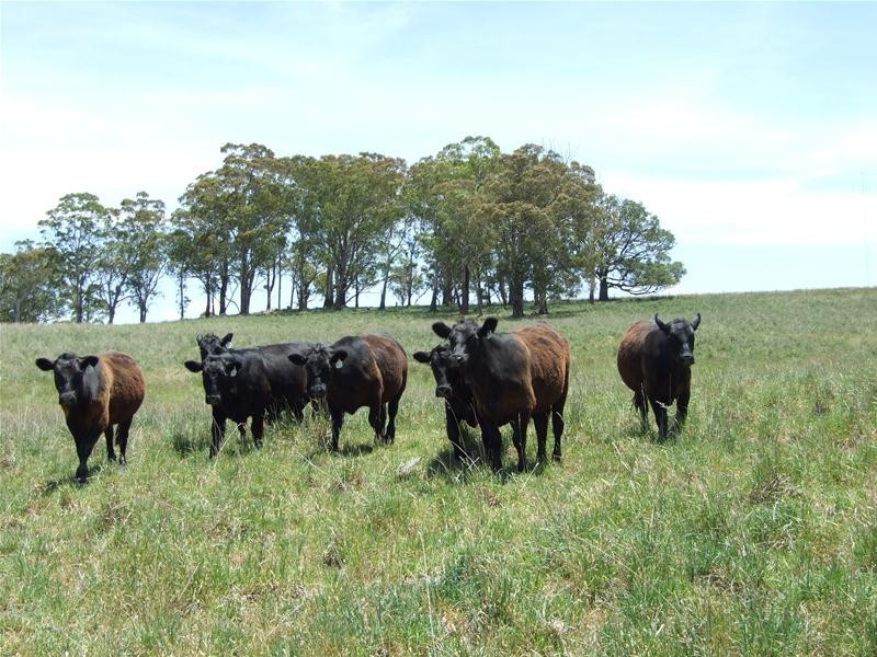 Oberon NSW 2787