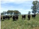 Oberon NSW 2787