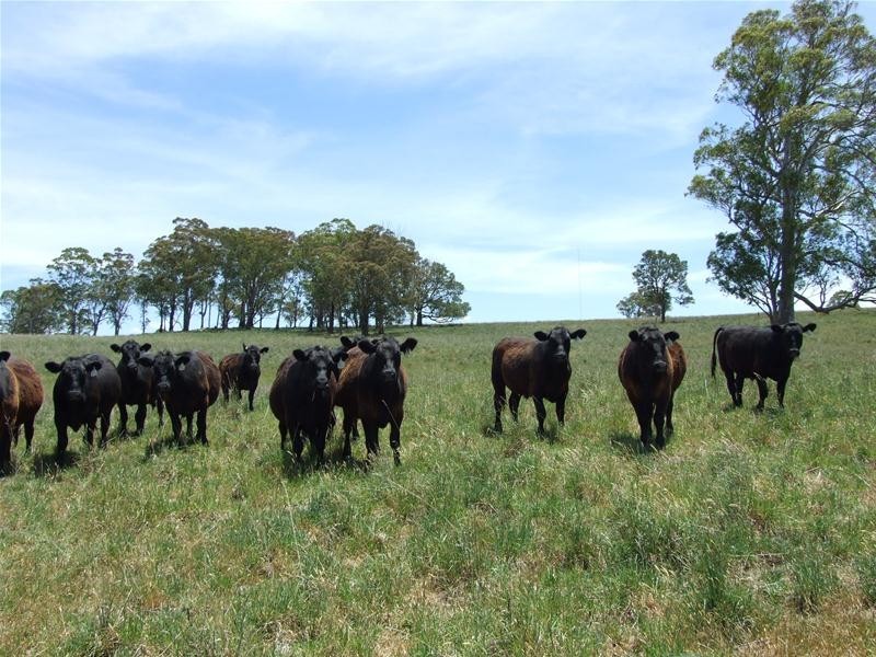 Oberon NSW 2787