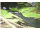 Oberon NSW 2787