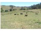 Little Hartley NSW 2790