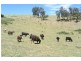 Little Hartley NSW 2790