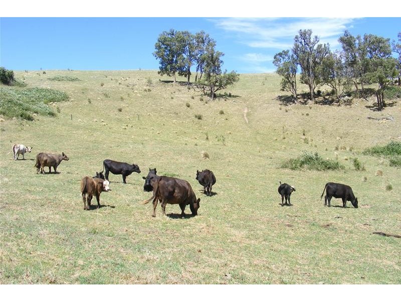 Little Hartley NSW 2790