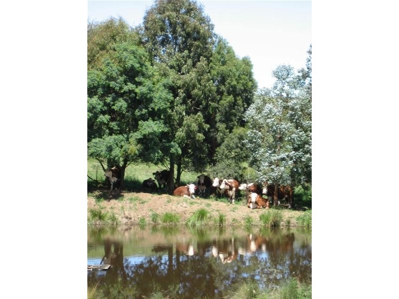 332 Duckmaloi Road, Oberon NSW 2787