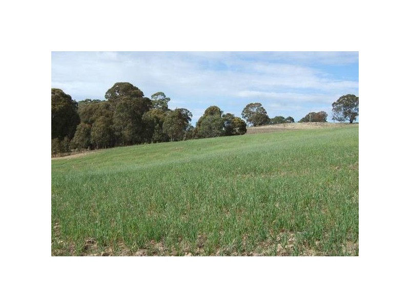Oberon NSW 2787