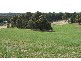 Oberon NSW 2787