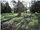 Oberon NSW 2787