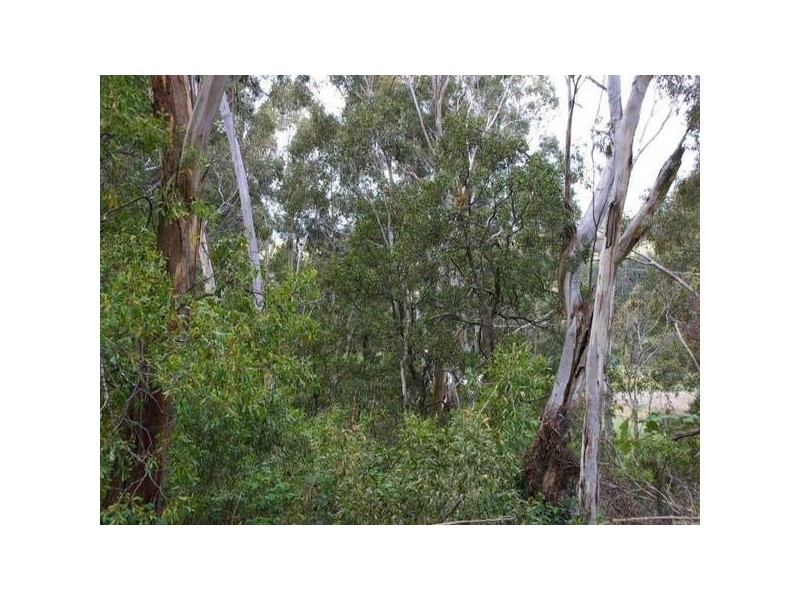 645 Rydal Road, Oberon NSW 2787