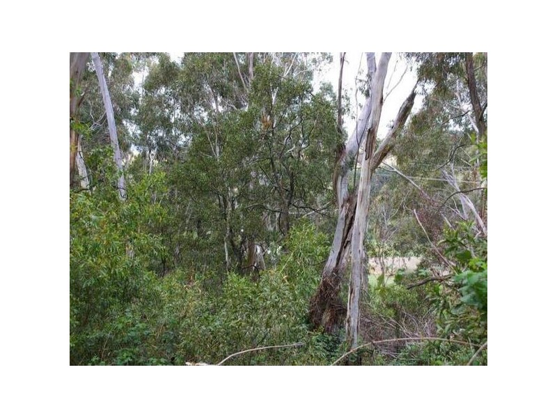 645 Rydal Road, Oberon NSW 2787