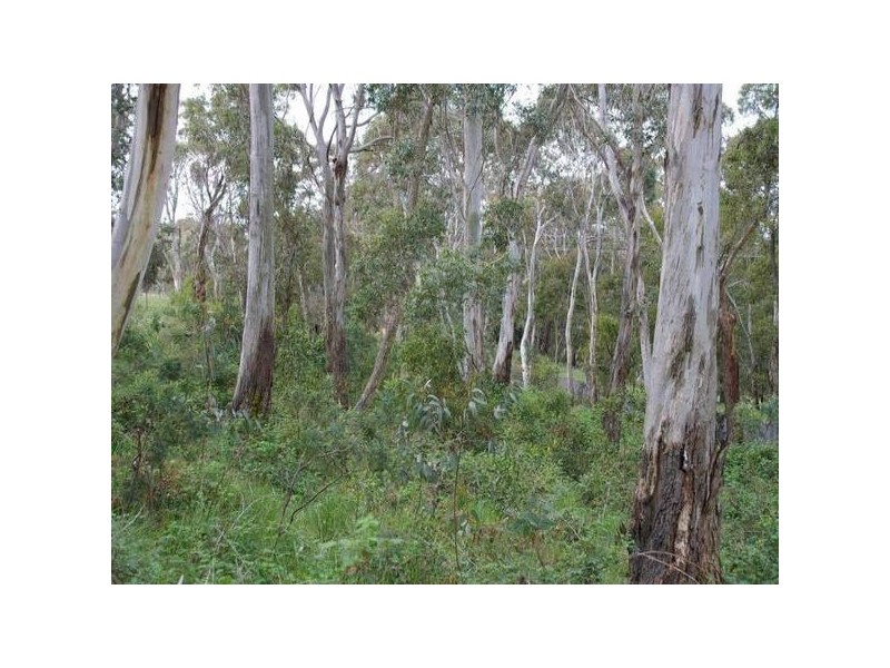 645 Rydal Road, Oberon NSW 2787