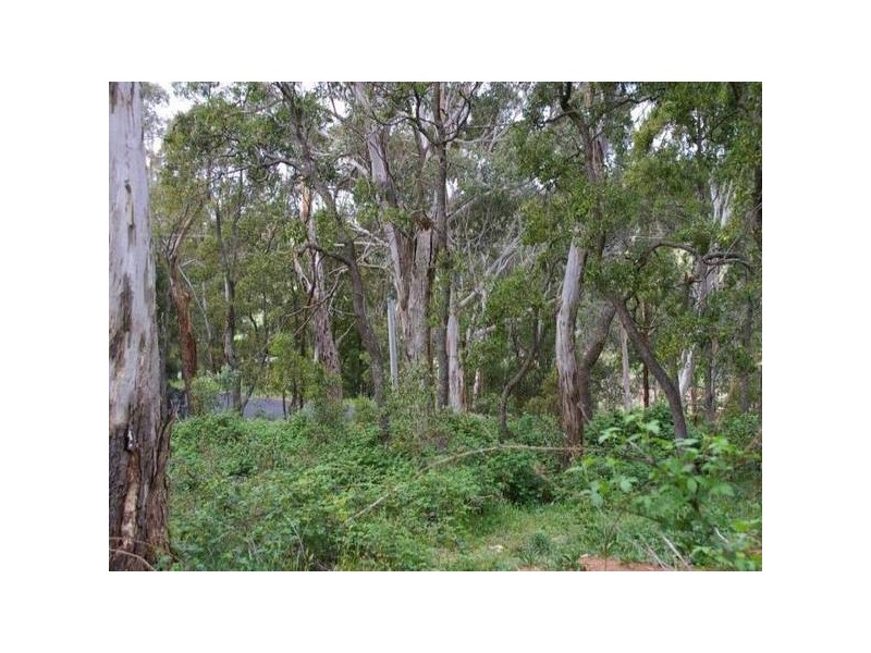 645 Rydal Road, Oberon NSW 2787