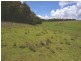 Oberon NSW 2787