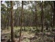 Oberon NSW 2787