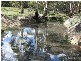 Oberon NSW 2787