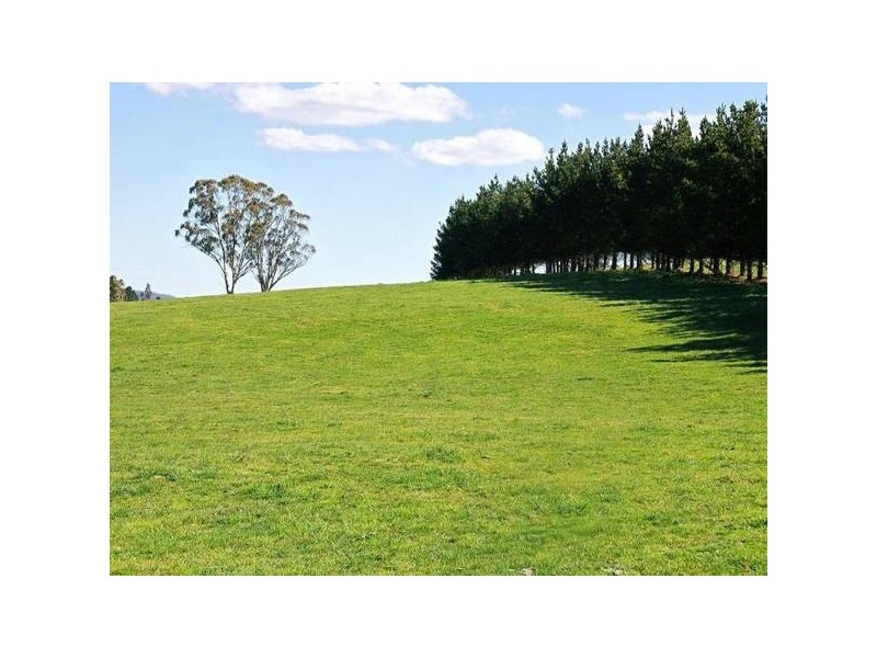 Meadow Flat NSW 2795
