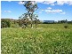 Meadow Flat NSW 2795