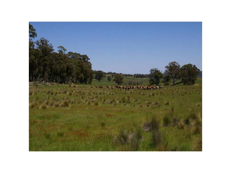 Oberon NSW 2787