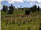 Oberon NSW 2787