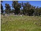 Oberon NSW 2787