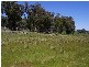 Oberon NSW 2787