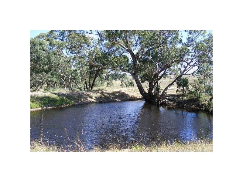 O’connell NSW 2795