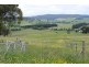 80 Wilson Drive, Oberon NSW 2787