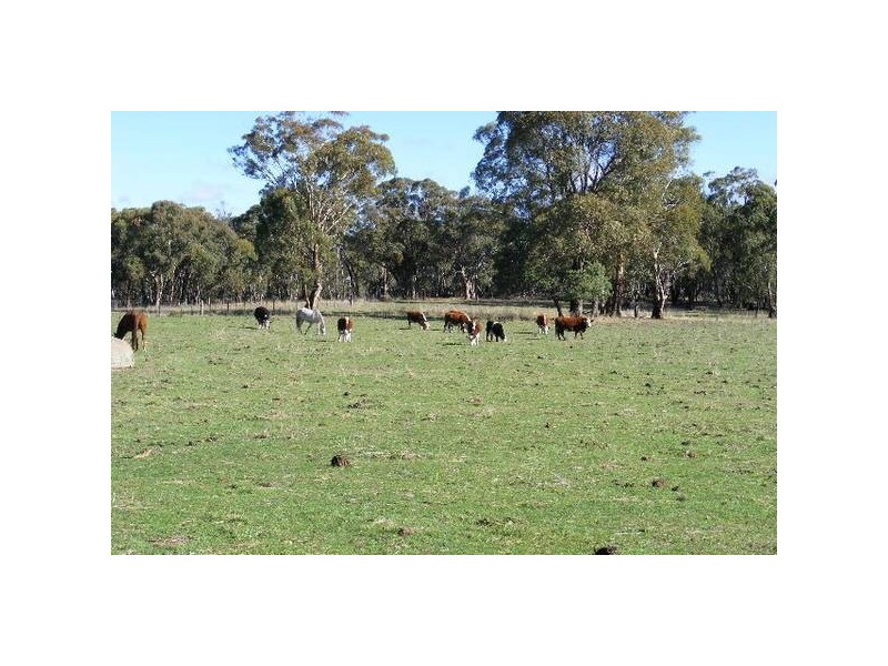 427 Mount Olive Road, Oberon NSW 2787