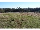 Oberon NSW 2787