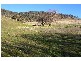 Tarana NSW 2787