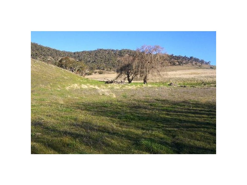Tarana NSW 2787