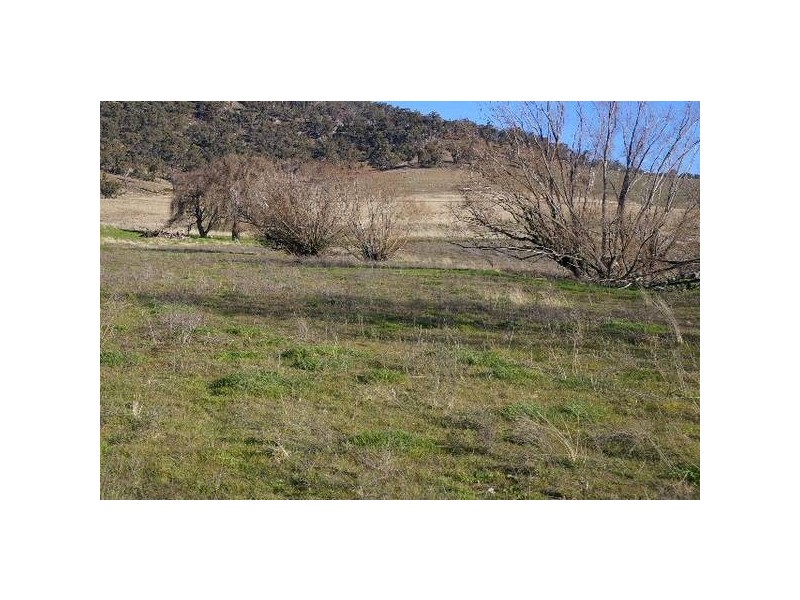 Tarana NSW 2787