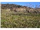 Tarana NSW 2787