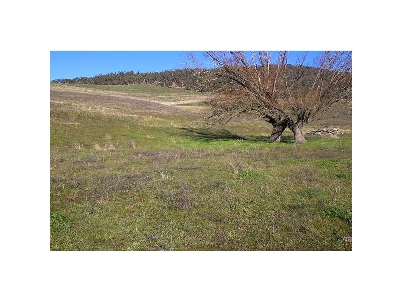 Tarana NSW 2787