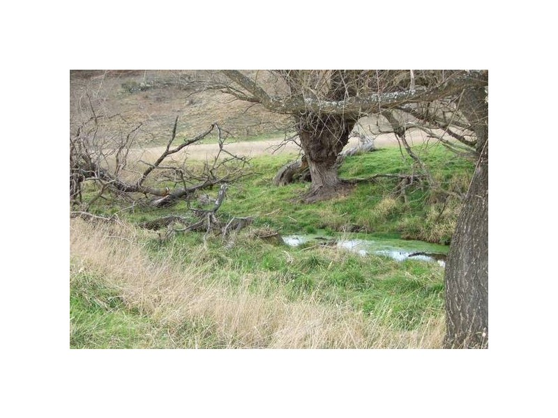 35 Honeysuckls Fall Road, Tarana NSW 2787