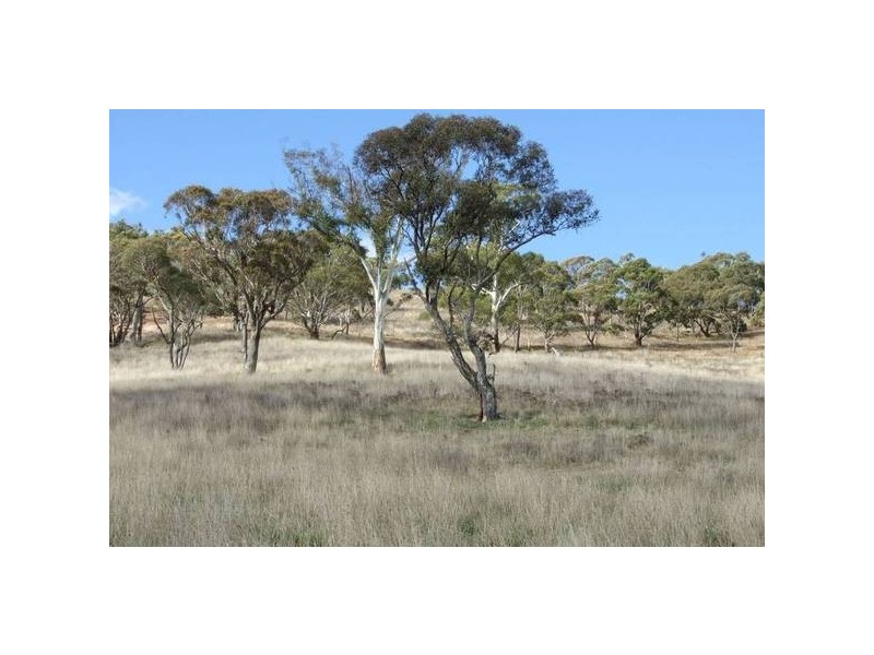 35 Honeysuckls Fall Road, Tarana NSW 2787