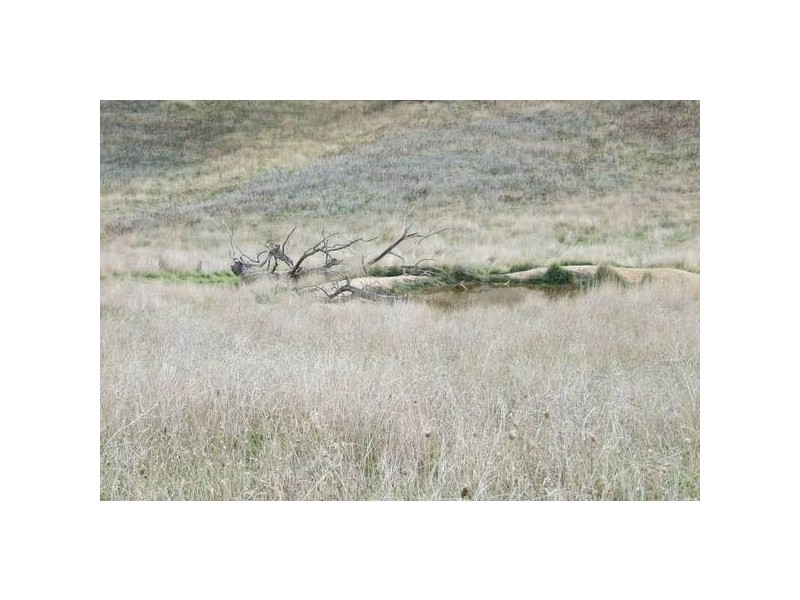 35 Honeysuckls Fall Road, Tarana NSW 2787