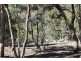 1 &2 Sewells Creek Road, O’connell NSW 2795