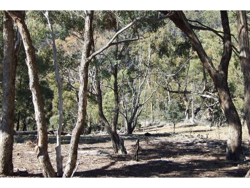 1 &2 Sewells Creek Road, O’connell NSW 2795