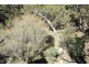 1 &2 Sewells Creek Road, O’connell NSW 2795