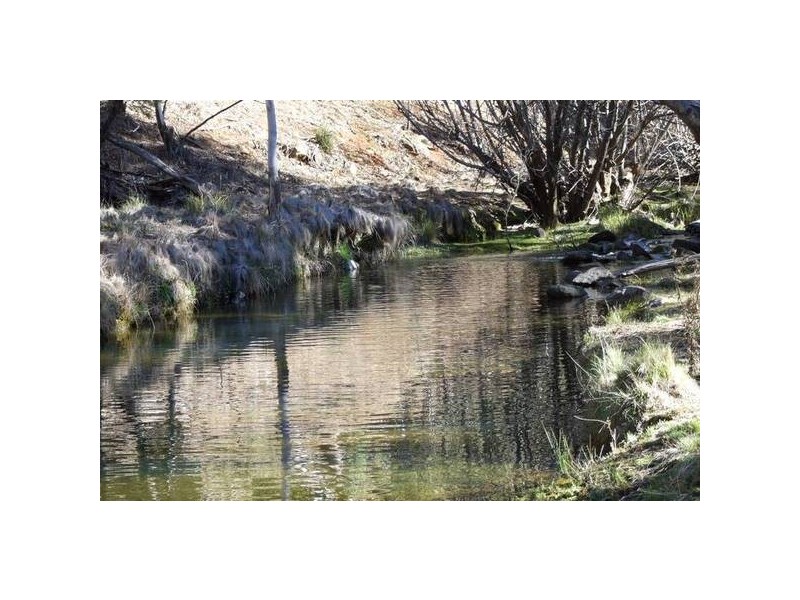 1534 Sewells Creek Road, O’connell NSW 2795