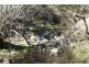 1534 Sewells Creek Road, O’connell NSW 2795
