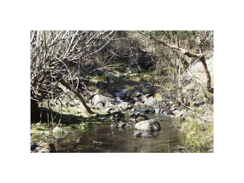 1534 Sewells Creek Road, O’connell NSW 2795