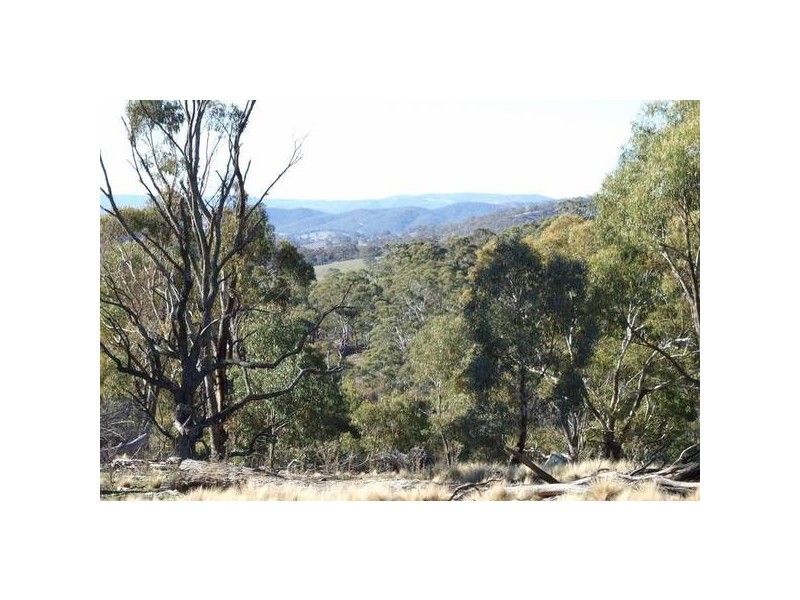 1534 Sewells Creek Road, O’connell NSW 2795