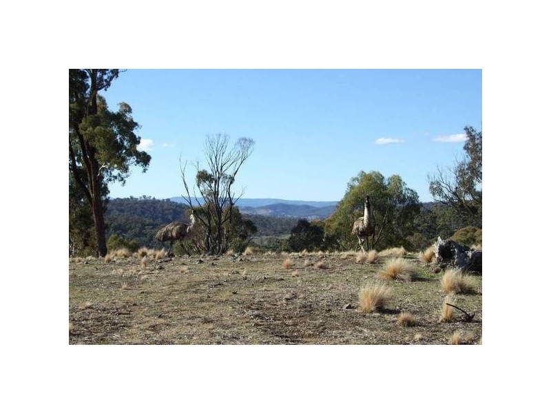 1534 Sewells Creek Road, O’connell NSW 2795